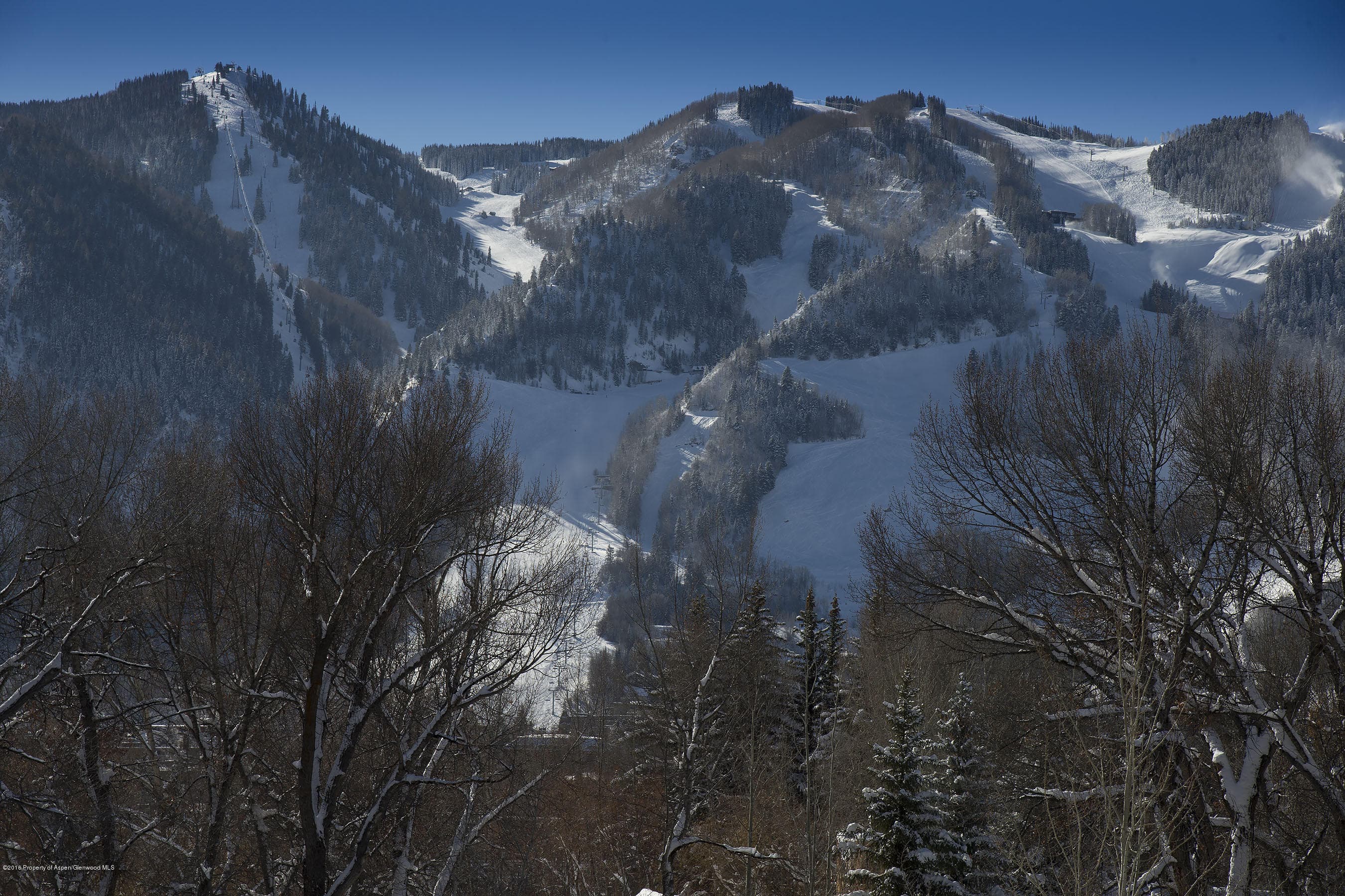 300 Red Mountain Road, Aspen, CO 81611 - Photo 6