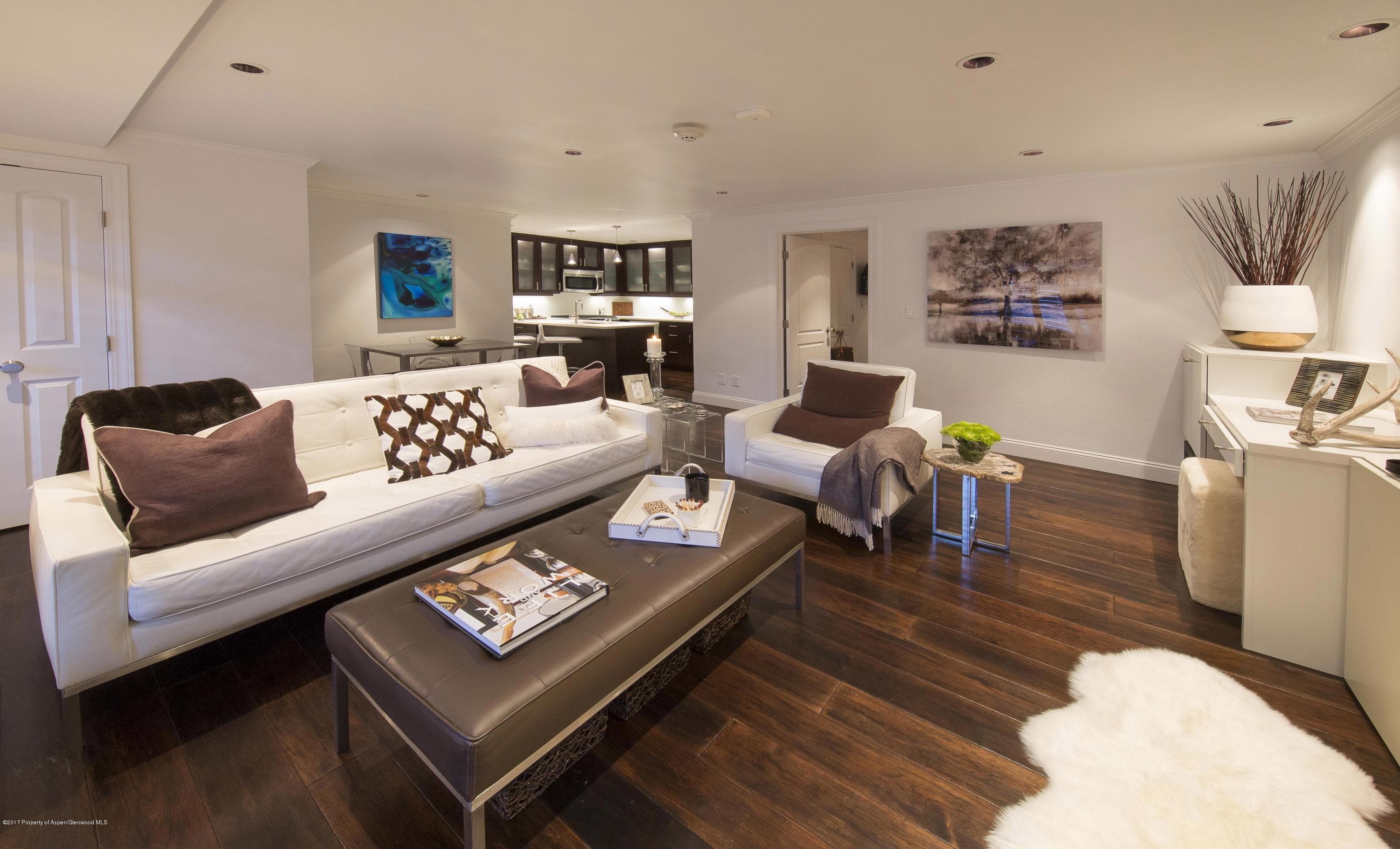 747 S Galena Street 110, Aspen, CO 81611 - Photo 3