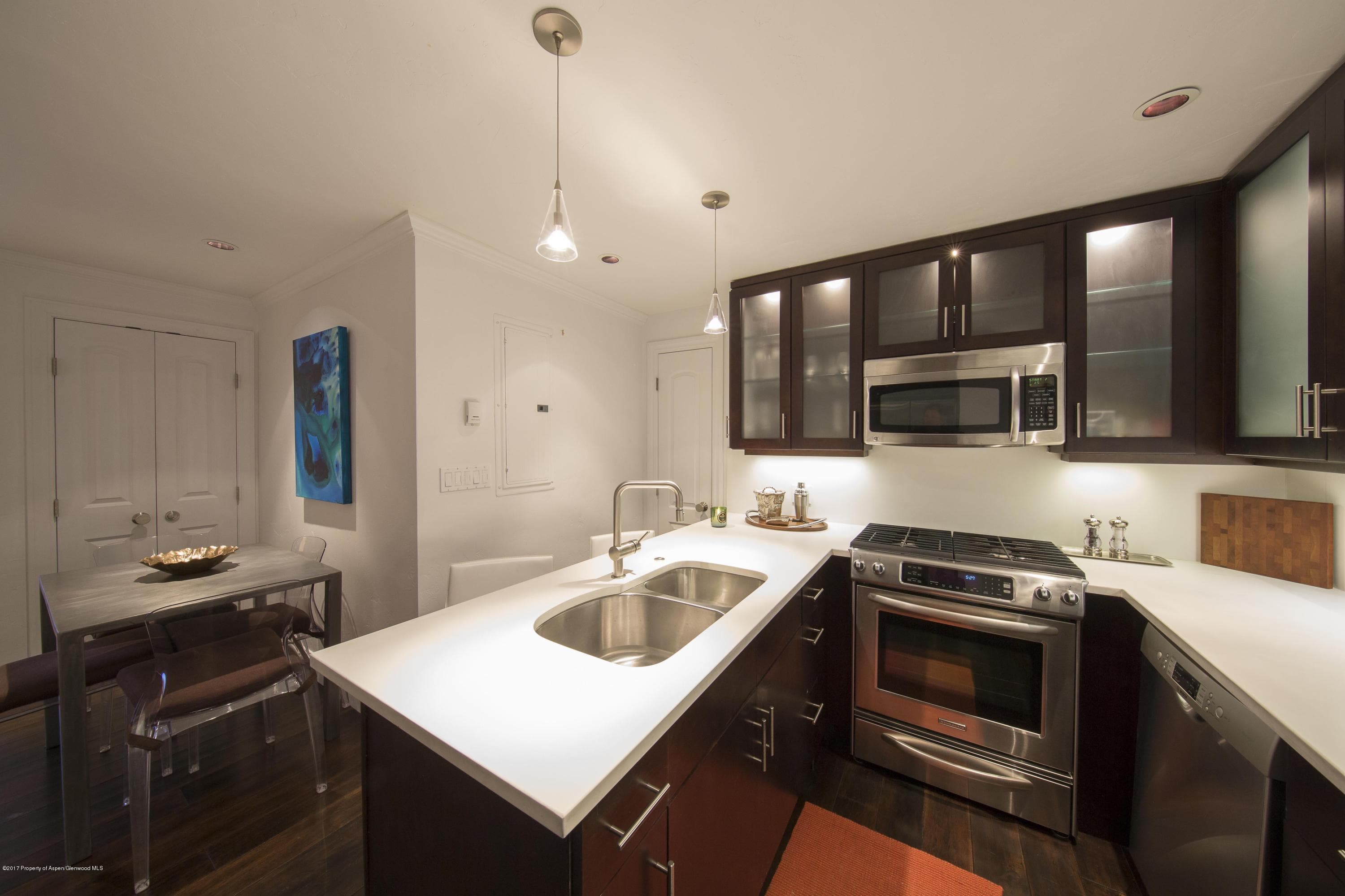 747 S Galena Street 110, Aspen, CO 81611 - Photo 7