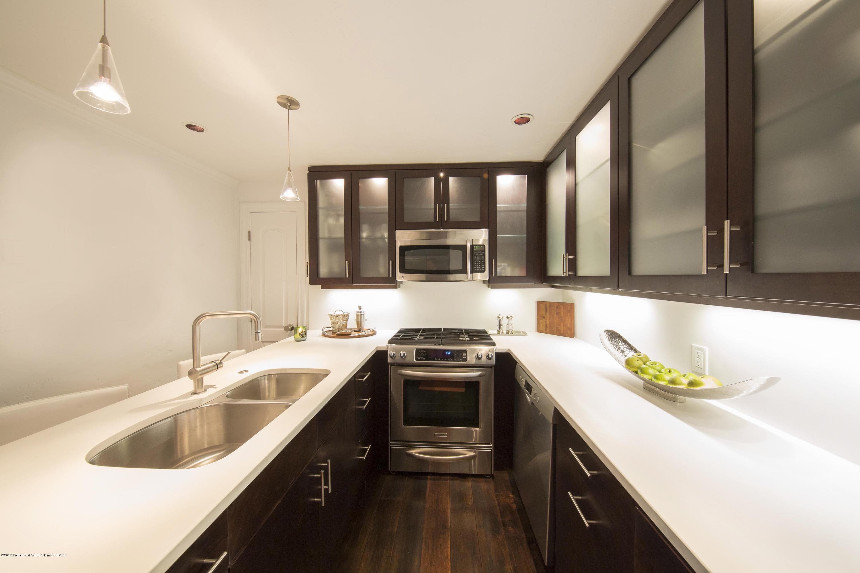 747 S Galena Street 110, Aspen, CO 81611 - Photo 8
