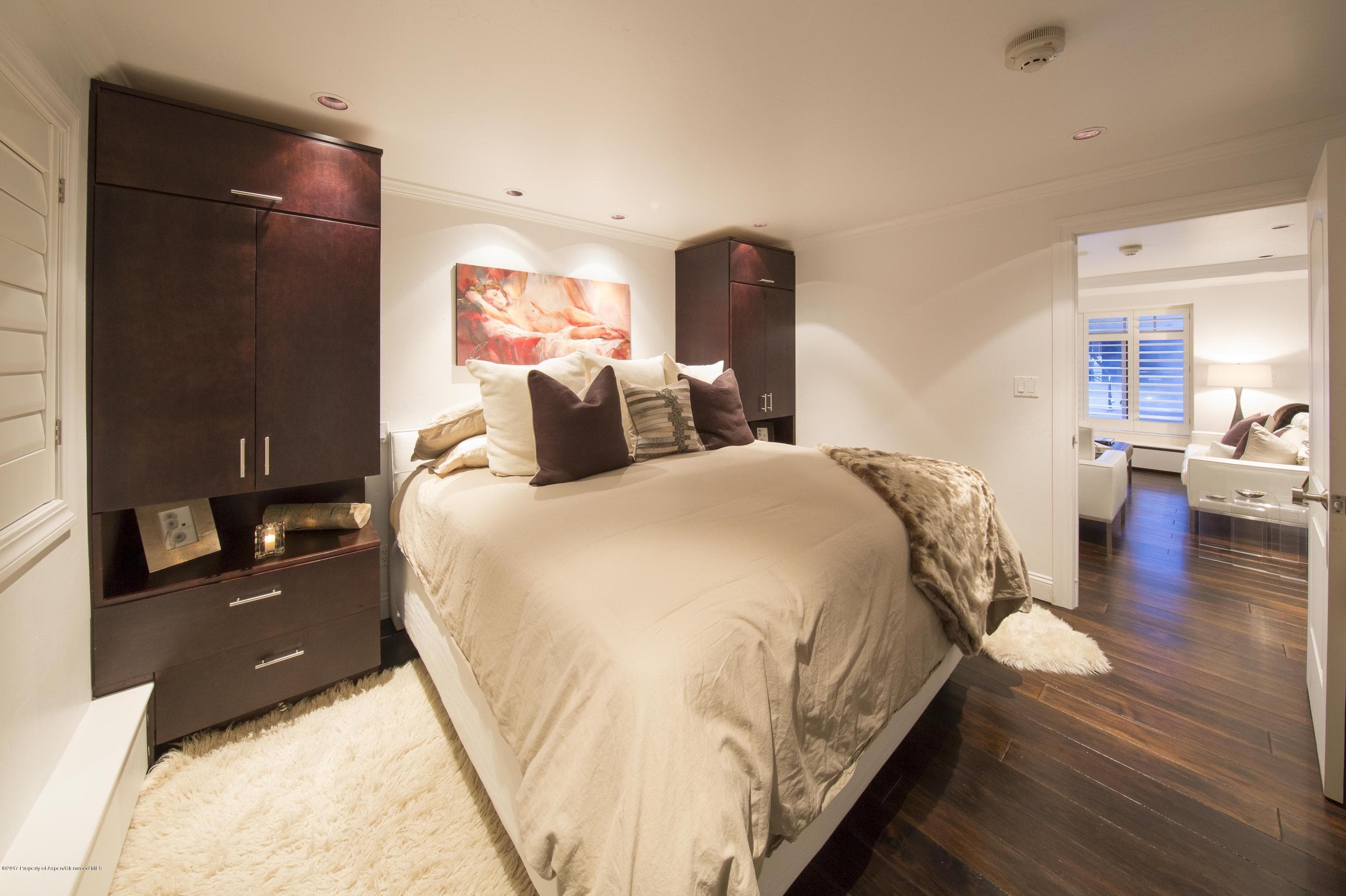 747 S Galena Street 110, Aspen, CO 81611 - Photo 10