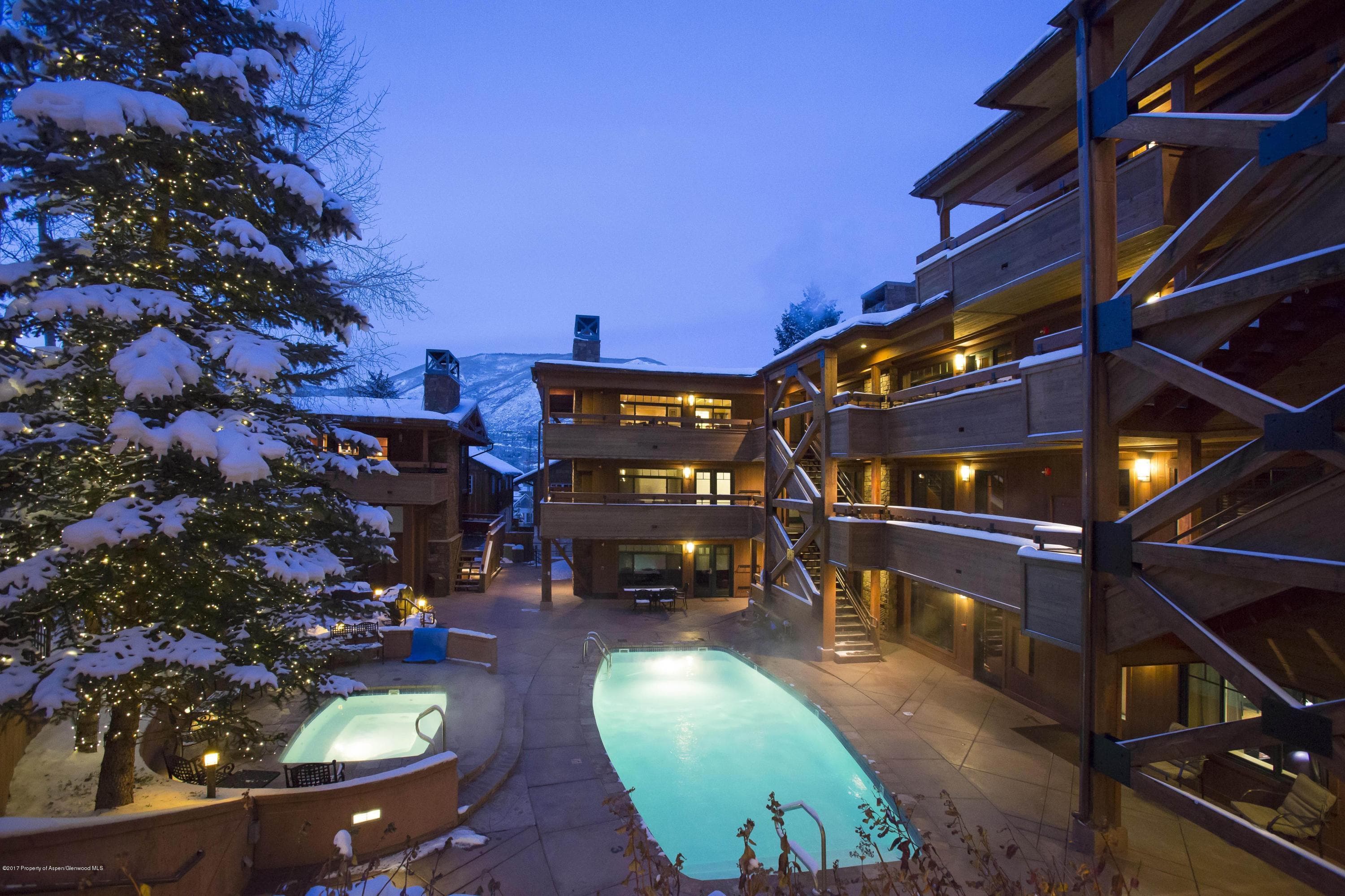 747 S Galena Street 110, Aspen, CO 81611 - Photo 16