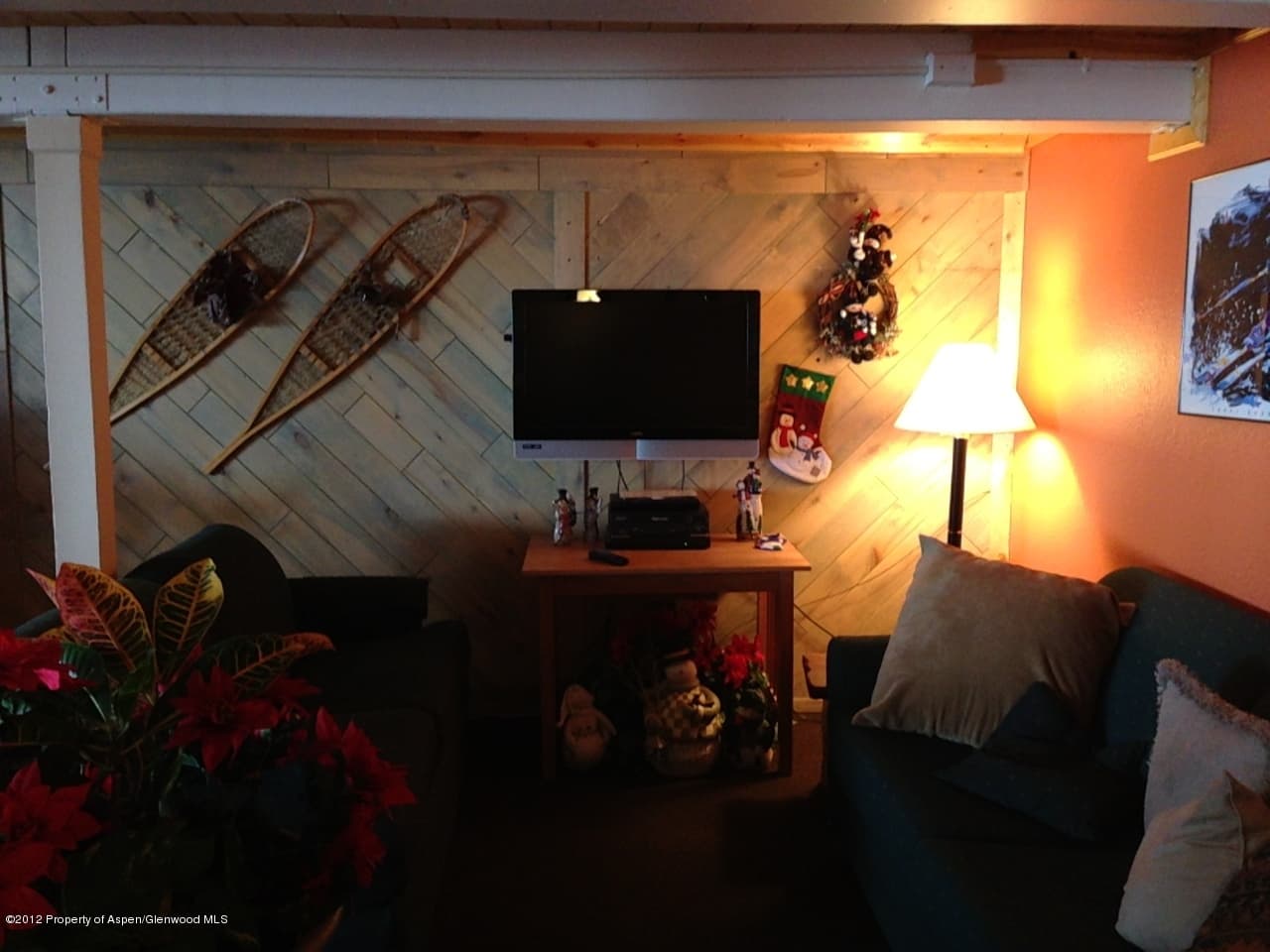 11101 County Road 117 2-D, Glenwood Springs, CO 81601 - Photo 22