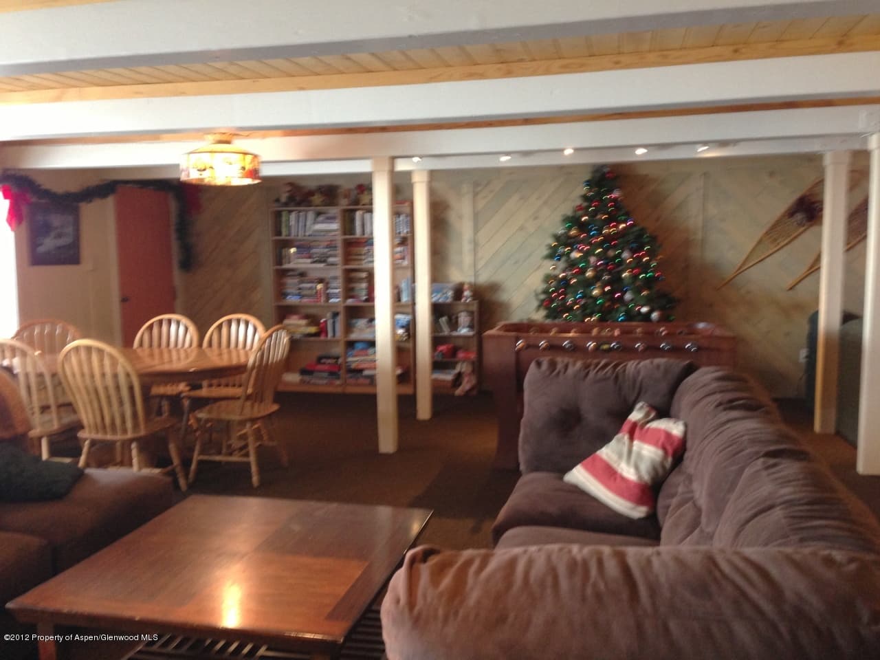 11101 County Road 117 2-D, Glenwood Springs, CO 81601 - Photo 23