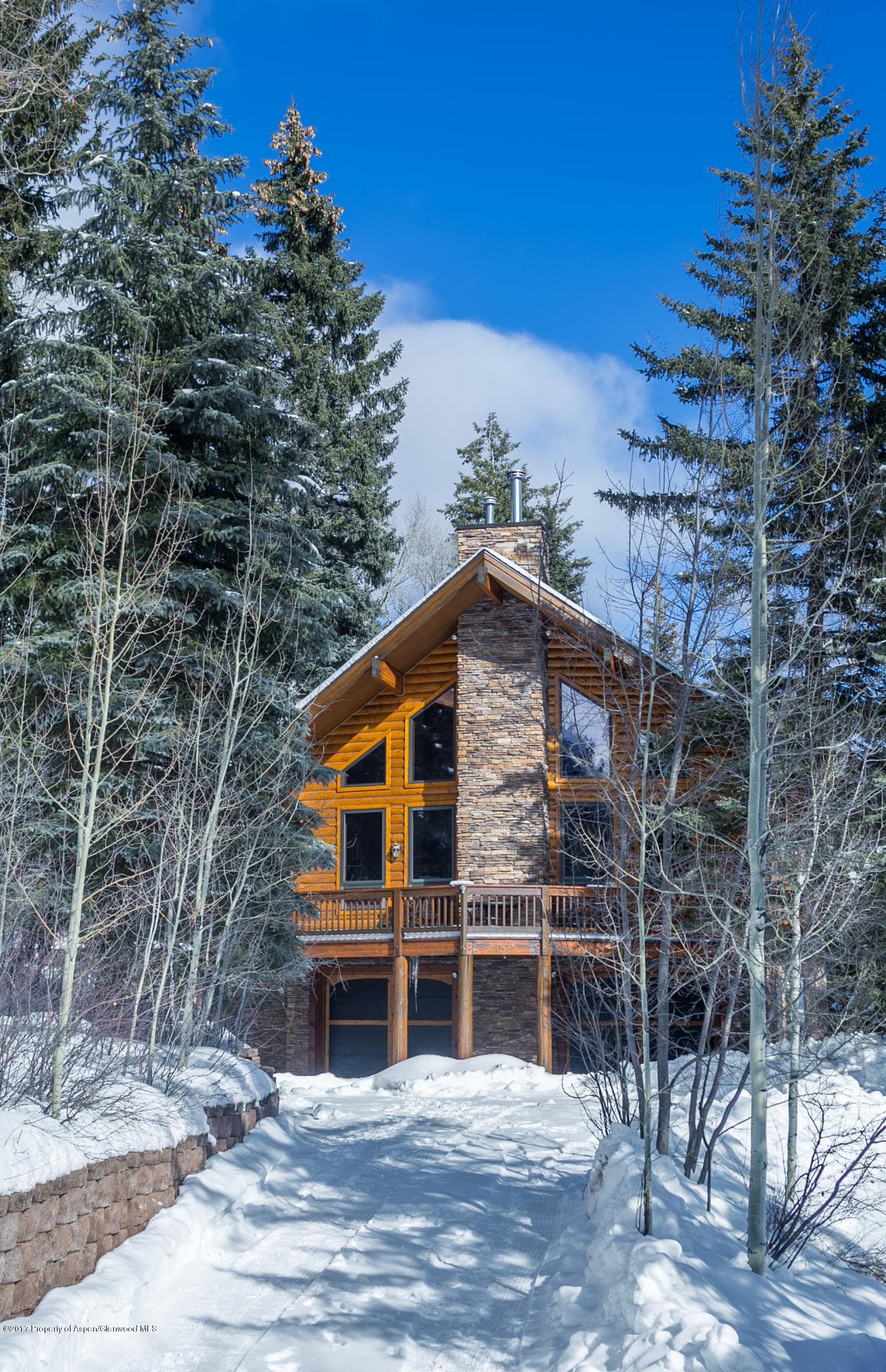 425 Crystal Park Drive, Redstone, CO 81623 - Photo 4