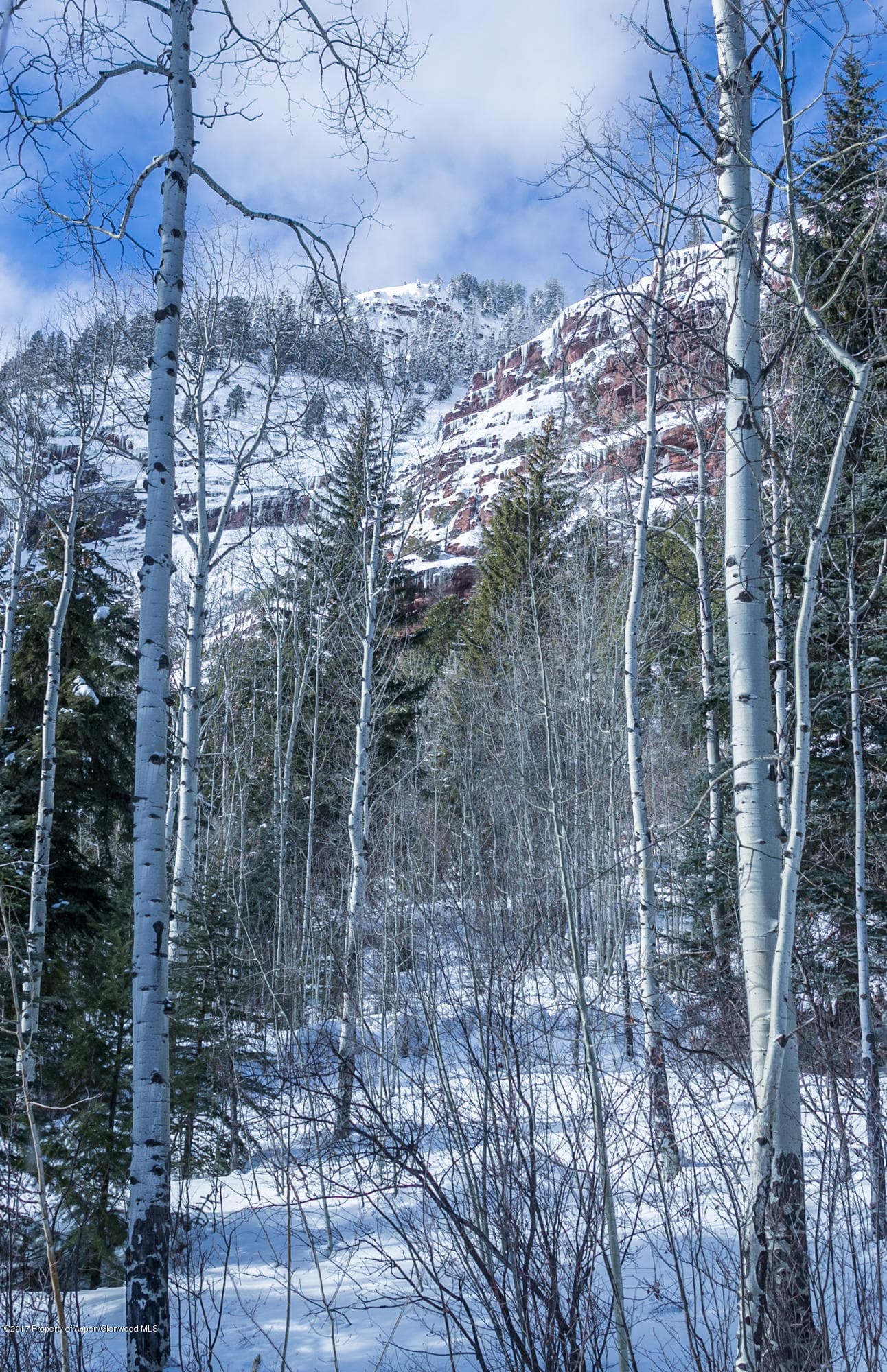 425 Crystal Park Drive, Redstone, CO 81623 - Photo 8