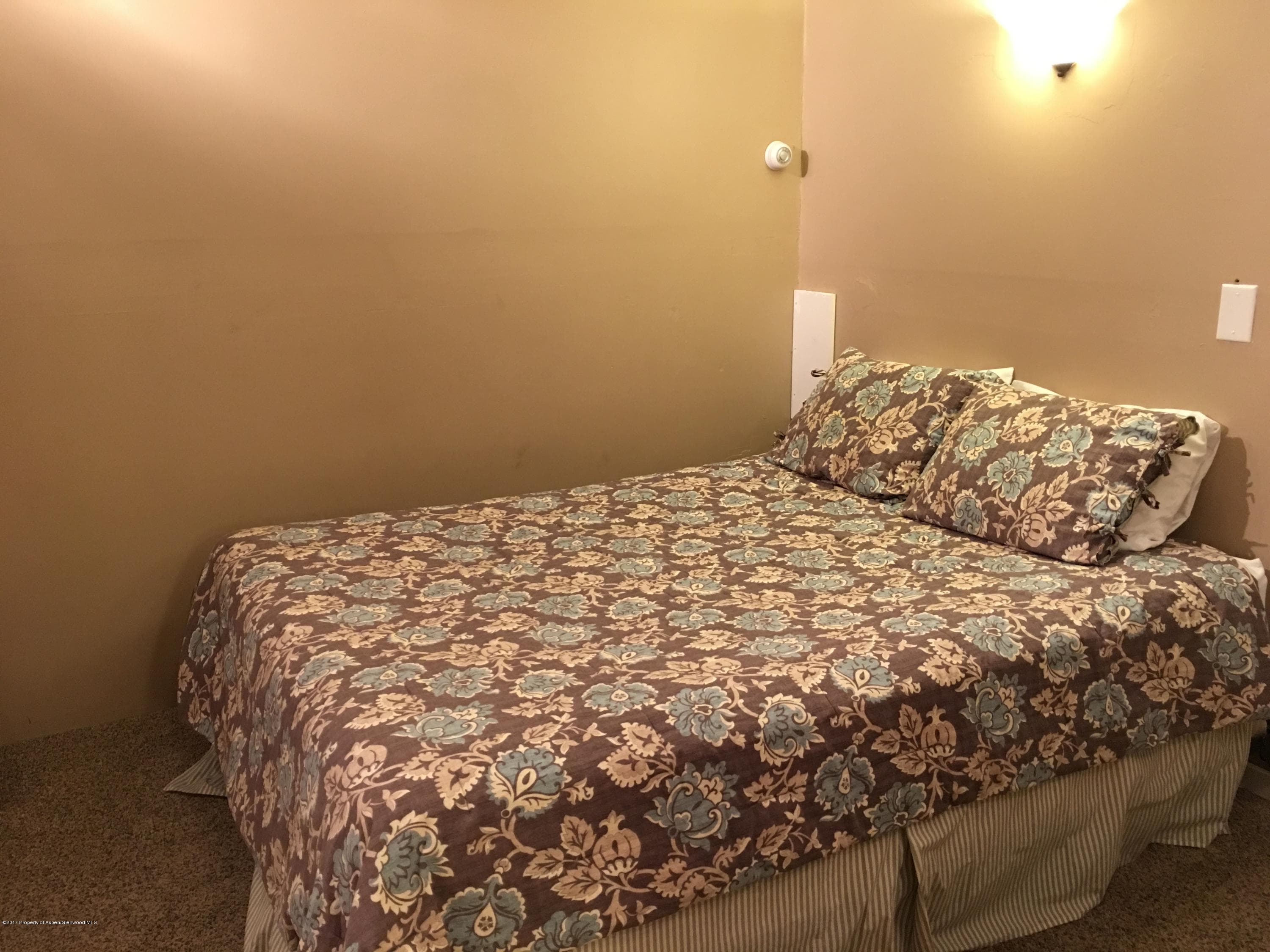 11101 County Road 117 2-D, Glenwood Springs, CO 81601 - Photo 9
