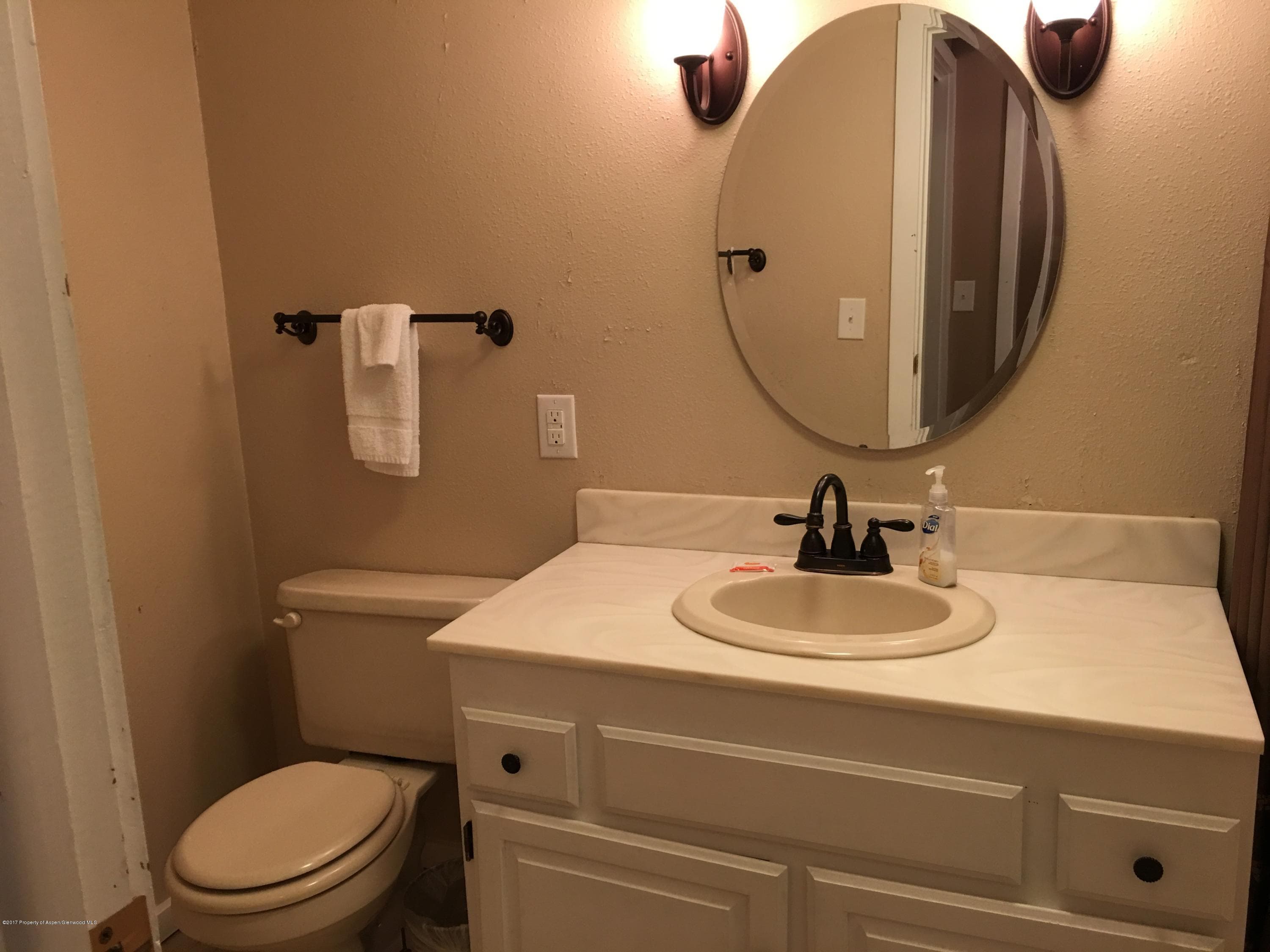 11101 County Road 117 2-D, Glenwood Springs, CO 81601 - Photo 12
