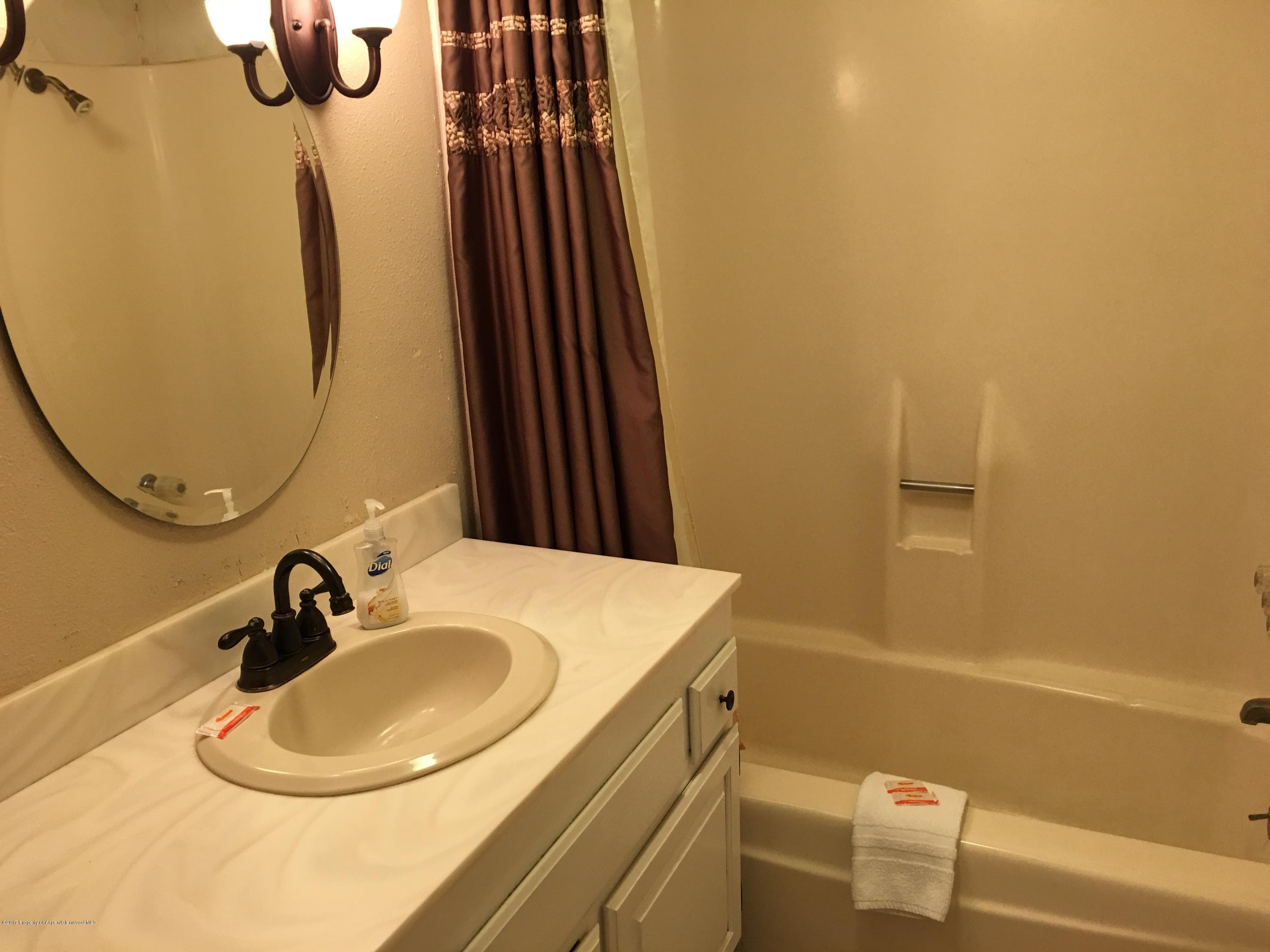 11101 County Road 117 2-D, Glenwood Springs, CO 81601 - Photo 13