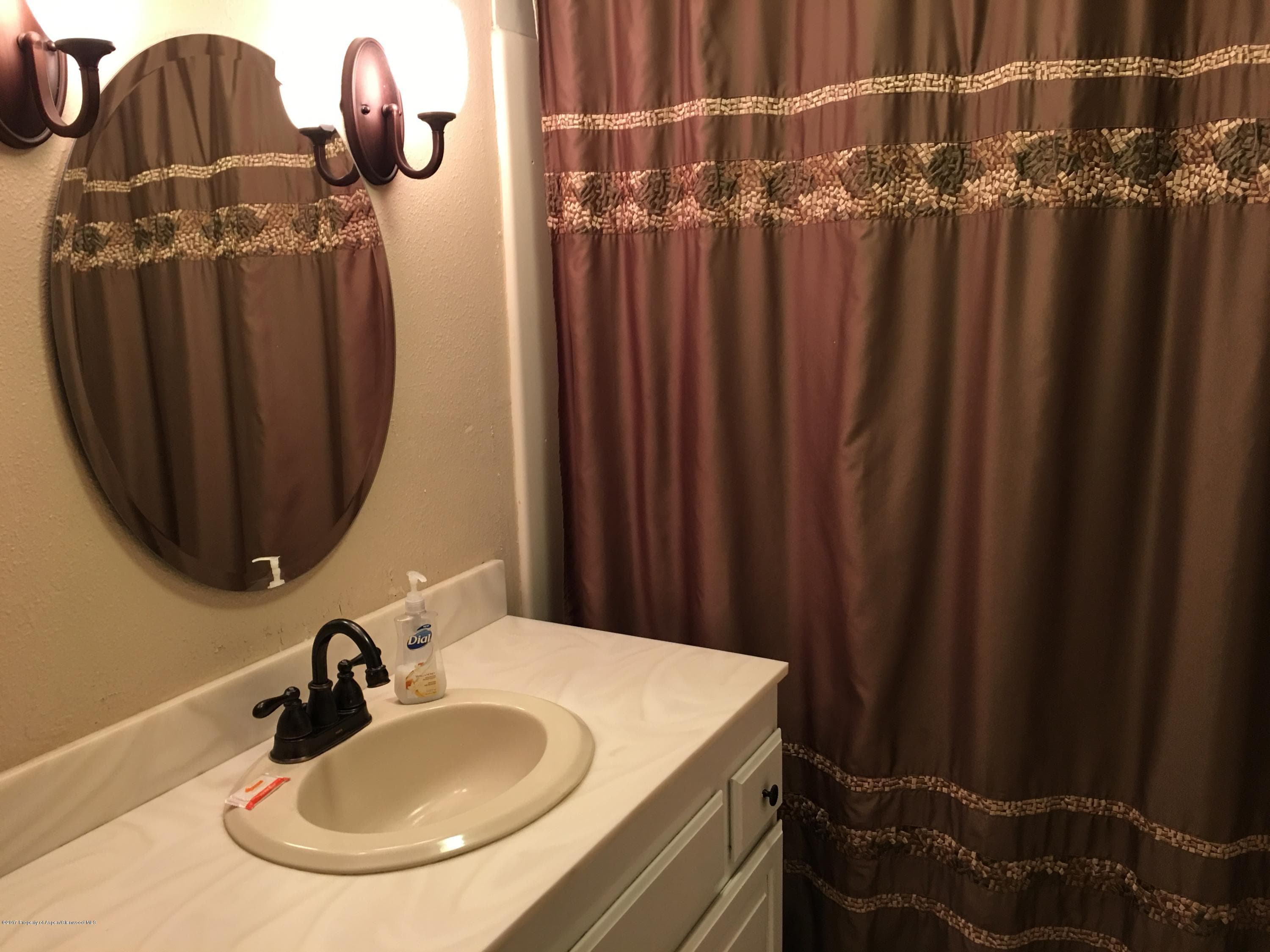 11101 County Road 117 2-D, Glenwood Springs, CO 81601 - Photo 14
