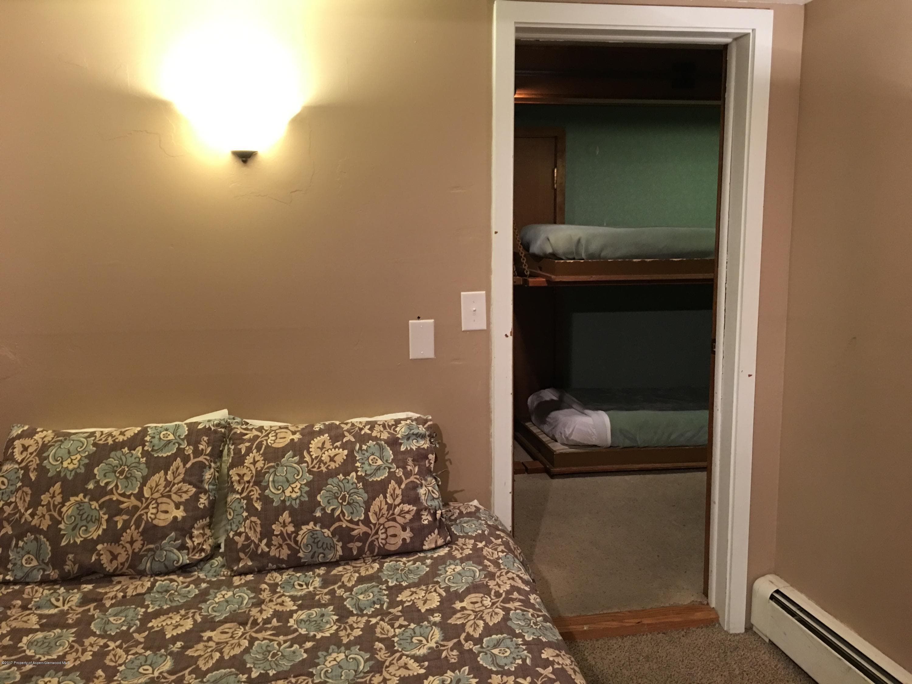 11101 County Road 117 2-D, Glenwood Springs, CO 81601 - Photo 11