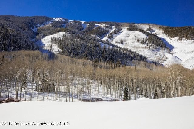 640 S HAYDEN Road, Aspen, CO 81611 - Photo 29