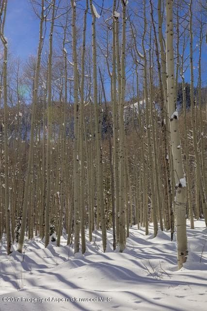 640 S HAYDEN Road, Aspen, CO 81611 - Photo 31