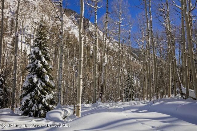 640 S HAYDEN Road, Aspen, CO 81611 - Photo 26