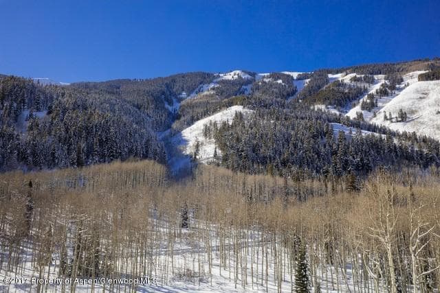 640 S HAYDEN Road, Aspen, CO 81611 - Photo 27