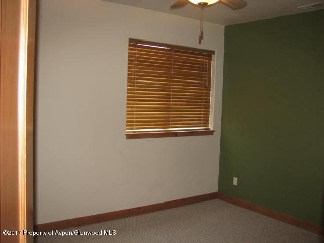 105 Timber Creek Drive, Glenwood Springs, CO 81601 - Photo 14