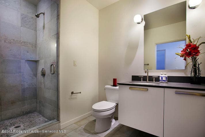 231 Robinson Street #R-318, Basalt, CO 81621 - Photo 9