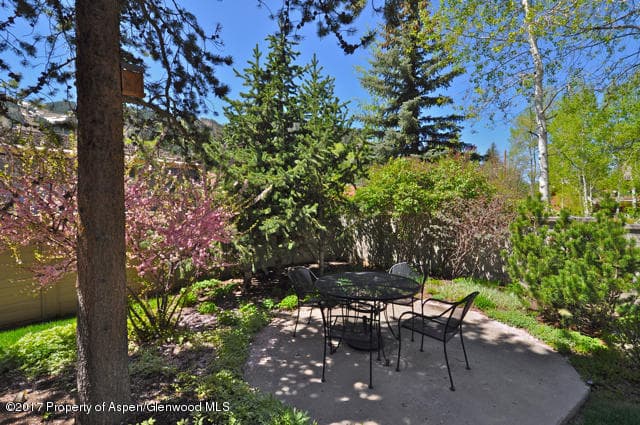 117 N MONARCH Unit 2, Aspen, CO 81611 - Photo 19