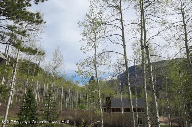 95 Chair Mountain Drive, Redstone, CO 81623 - Photo 4