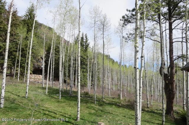 95 Chair Mountain Drive, Redstone, CO 81623 - Photo 6