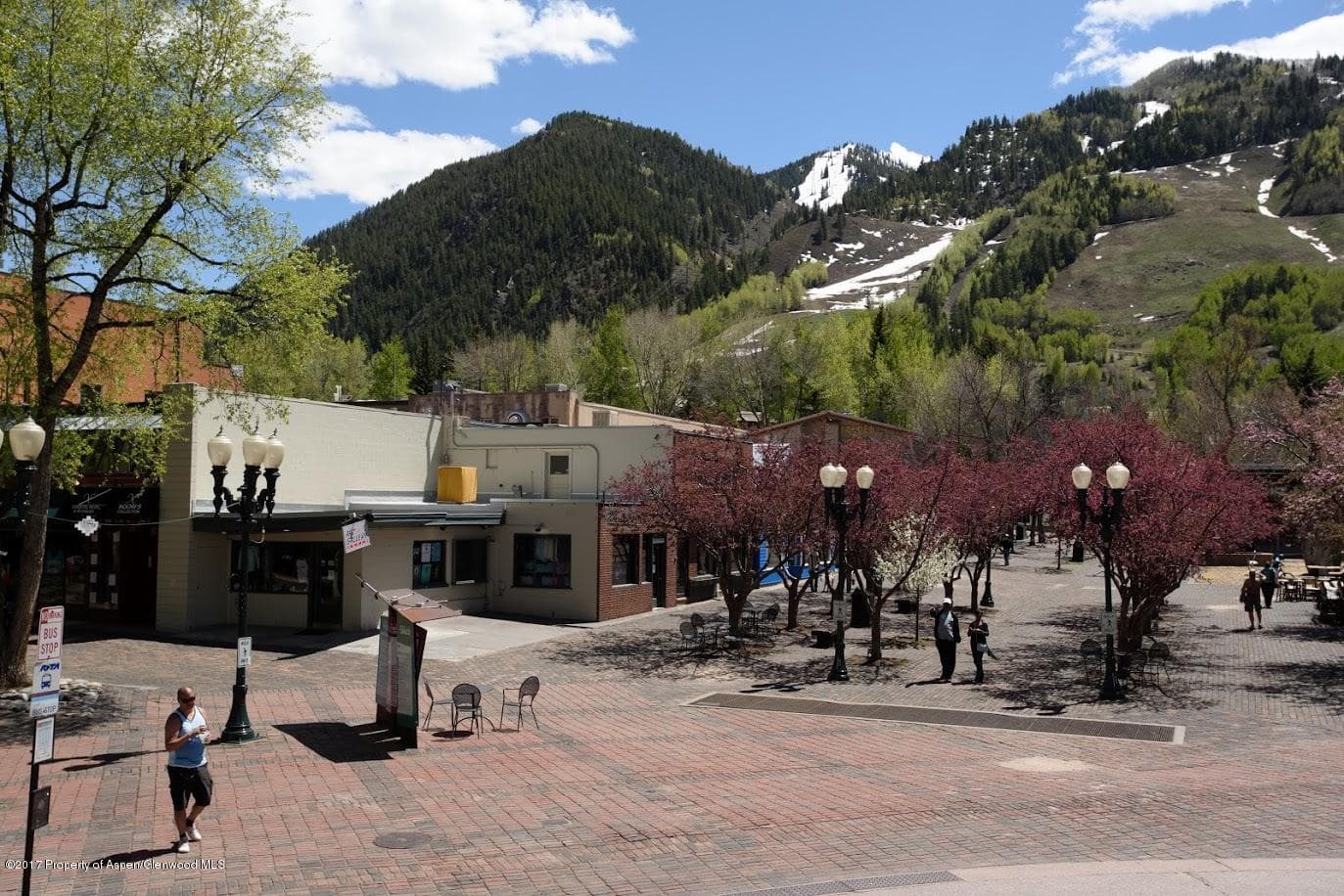 401 E Hyman Avenue, Aspen, CO 81611 - Photo 13