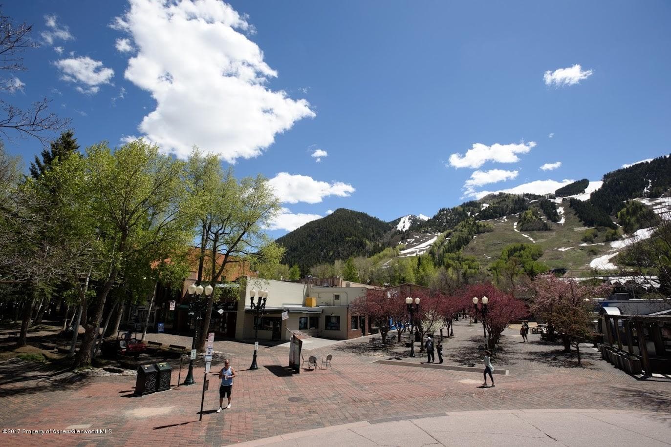 401 E Hyman Avenue, Aspen, CO 81611 - Photo 14