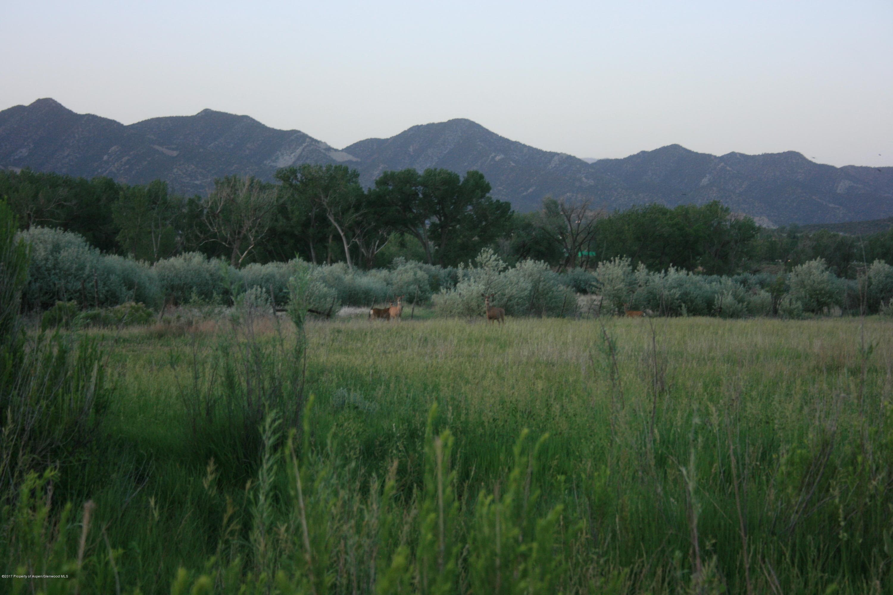 TBD County Road 346, Silt, CO 81652 - Photo 3