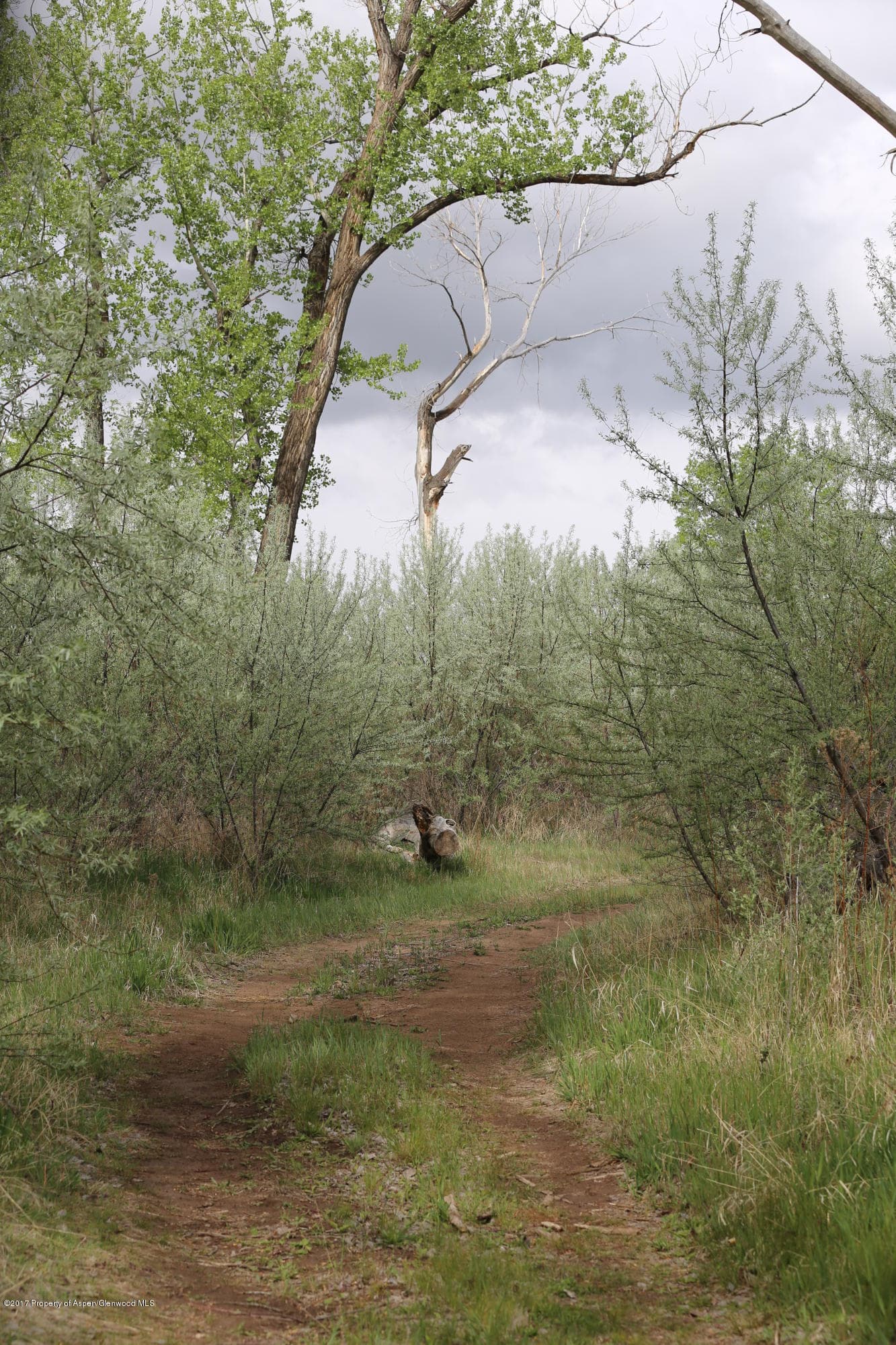 TBD County Road 346, Silt, CO 81652 - Photo 6