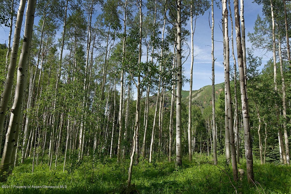 828 Conundrum Creek Road, Aspen, CO 81611 - Photo 8