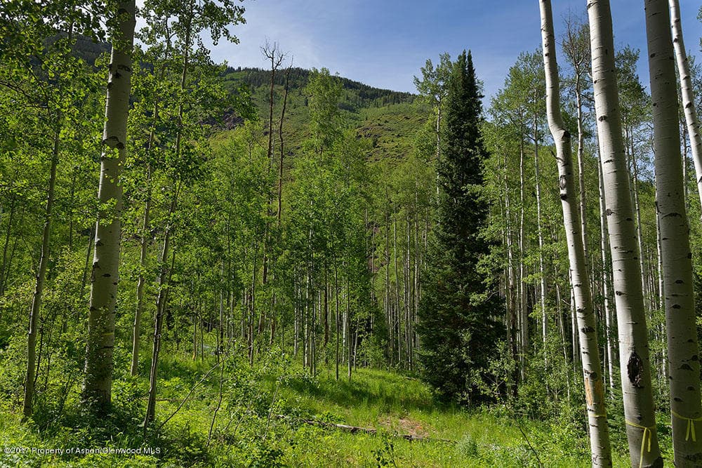 828 Conundrum Creek Road, Aspen, CO 81611 - Photo 9