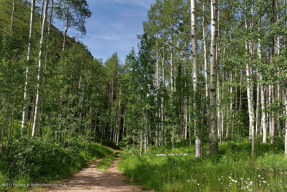 828 Conundrum Creek Road, Aspen, CO 81611