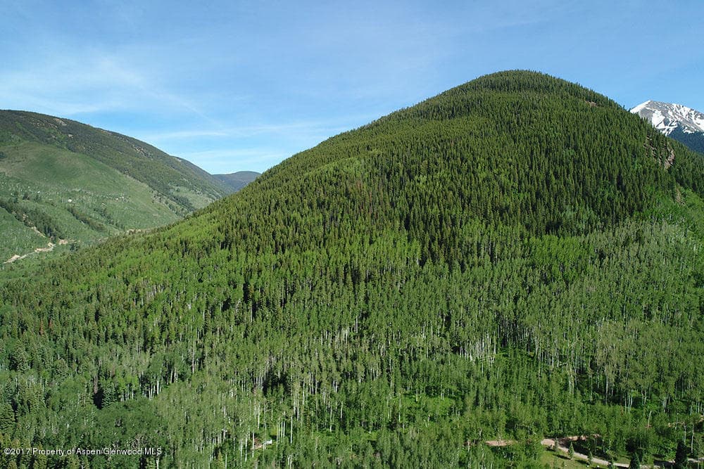 828 Conundrum Creek Road, Aspen, CO 81611 - Photo 13