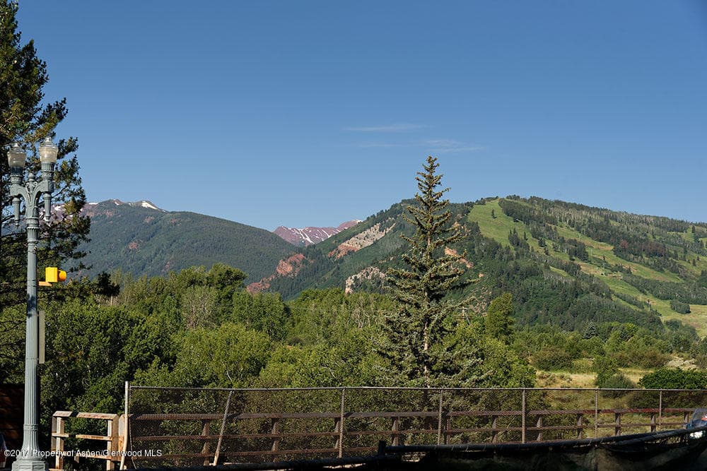 928 W Hallam Street, Aspen, CO 81611 - Photo 11