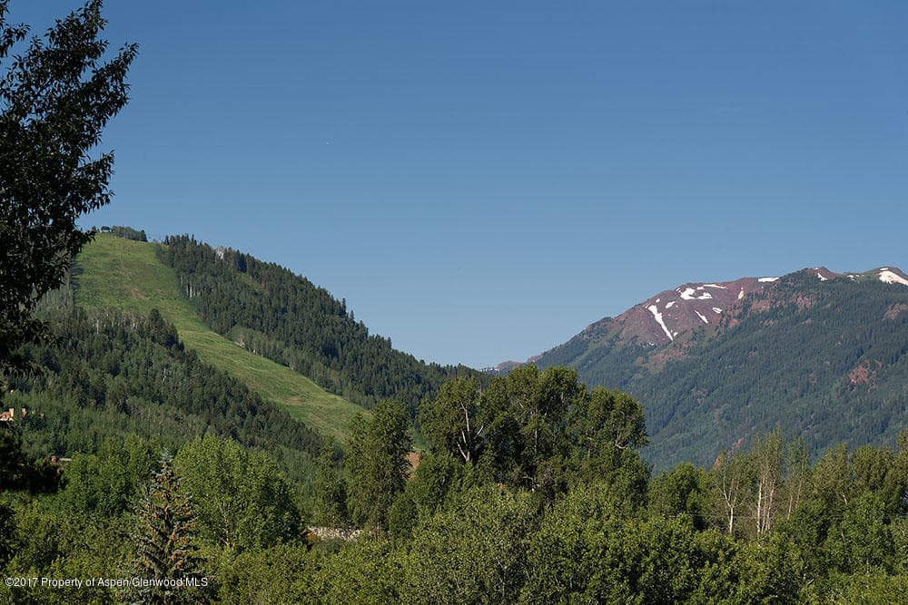 928 W Hallam Street, Aspen, CO 81611 - Photo 12