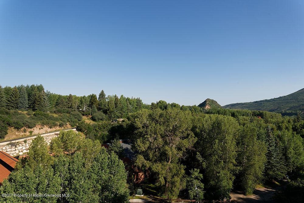928 W Hallam Street, Aspen, CO 81611 - Photo 14