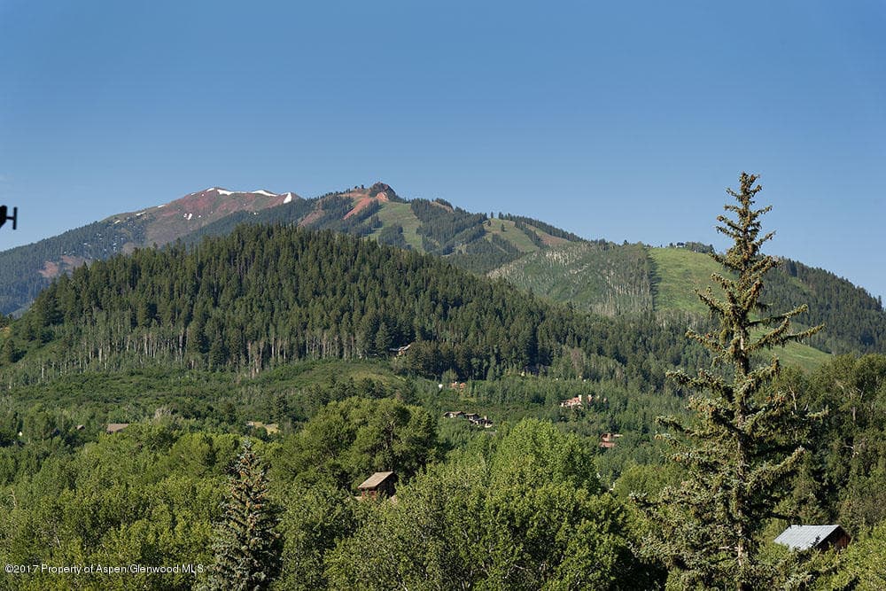 928 W Hallam Street, Aspen, CO 81611 - Photo 16