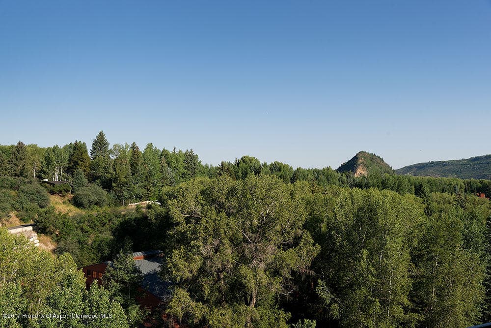 928 W Hallam Street, Aspen, CO 81611 - Photo 18