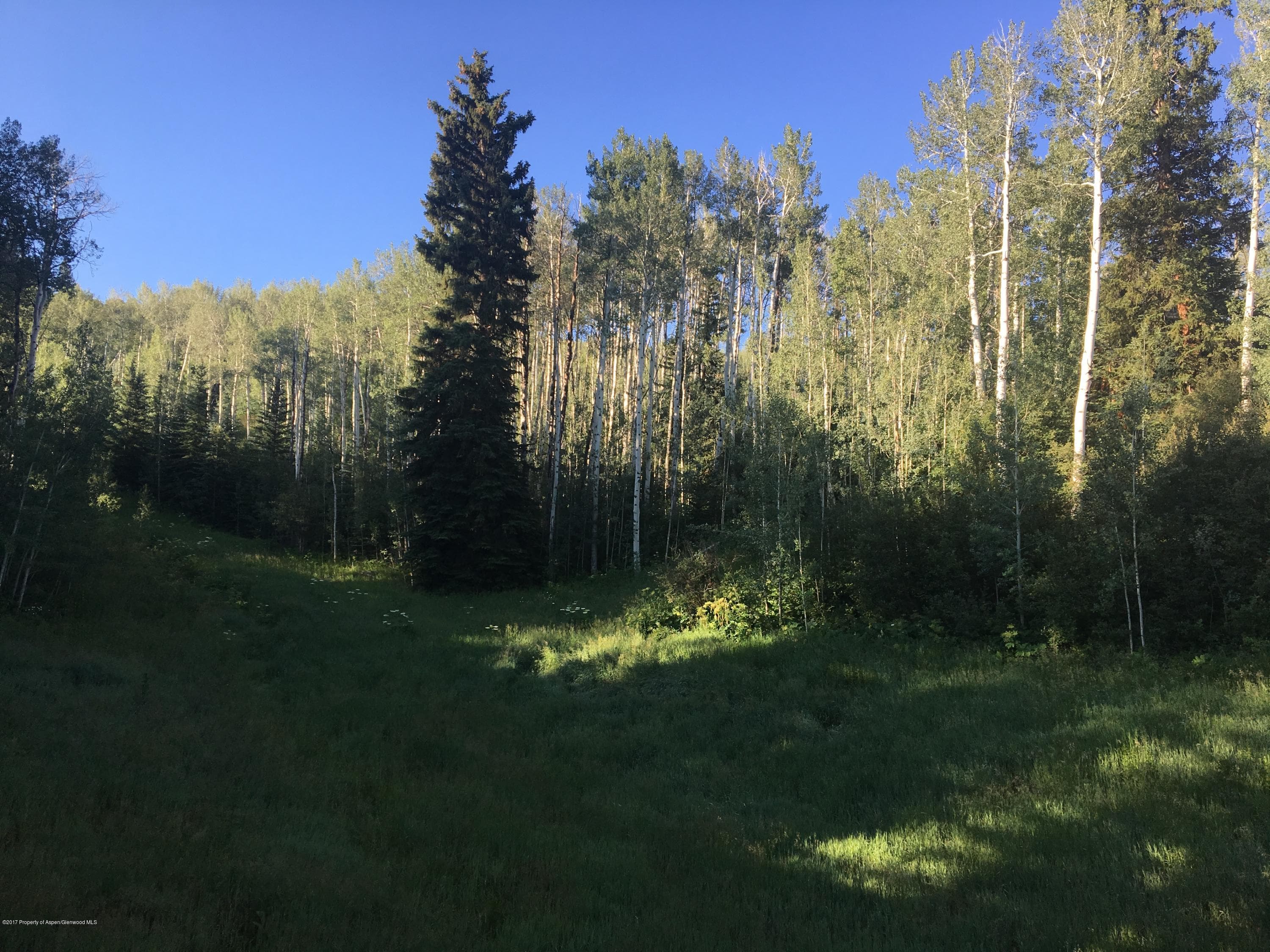 0460 Pine Crest Drive, Snowmass Village, CO 81615 - Photo 7