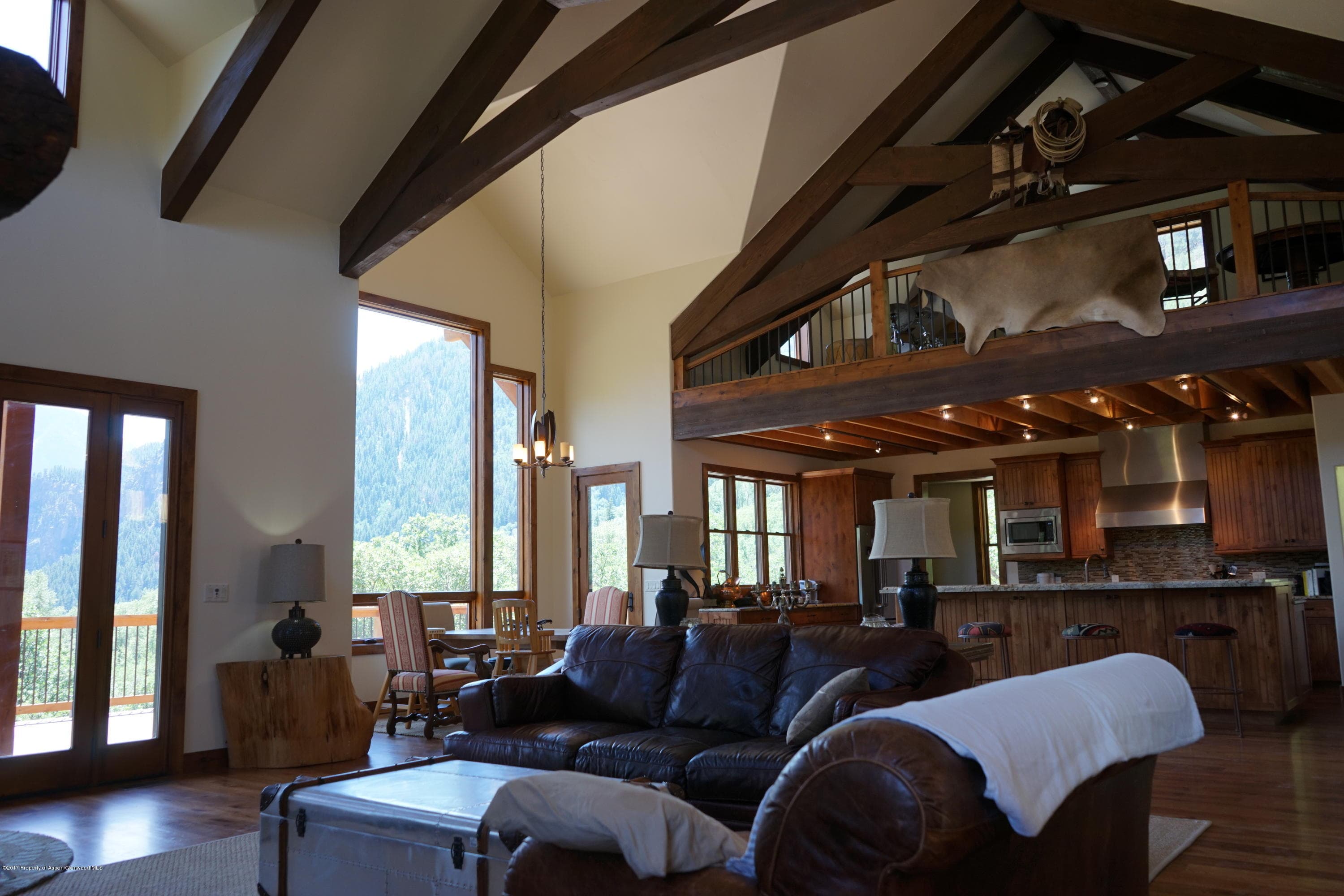 101 Cherokee Lane, Carbondale, CO 81623 - Photo 10