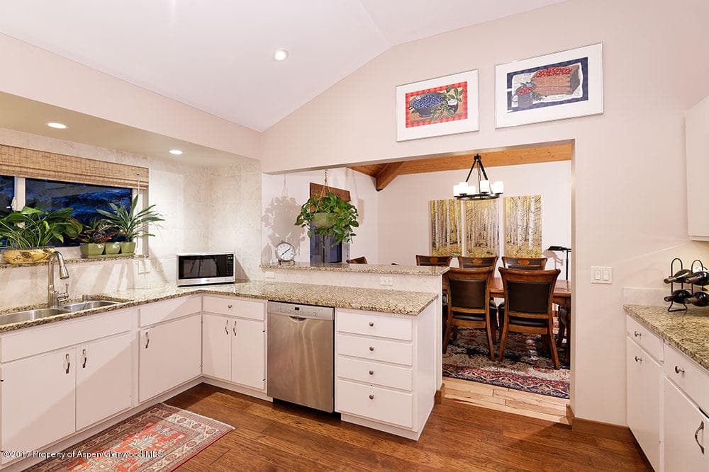 735 Castle Creek Drive 1, Aspen, CO 81611 - Photo 13