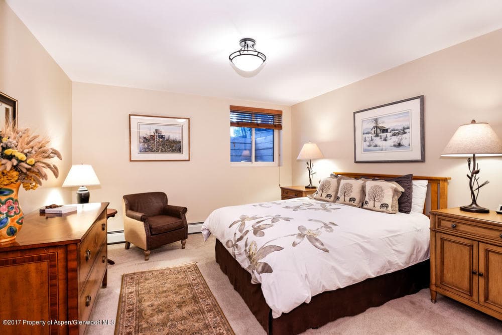 735 Castle Creek Drive 1, Aspen, CO 81611 - Photo 20
