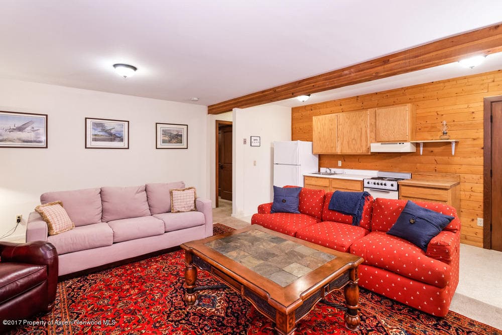 735 Castle Creek Drive 1, Aspen, CO 81611 - Photo 25