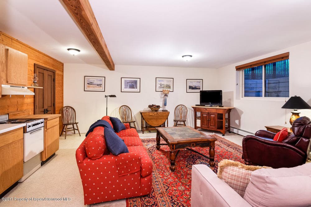 735 Castle Creek Drive 1, Aspen, CO 81611 - Photo 23