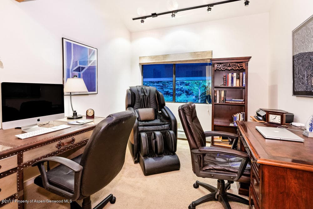 735 Castle Creek Drive 1, Aspen, CO 81611 - Photo 19