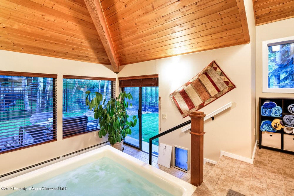 735 Castle Creek Drive 1, Aspen, CO 81611 - Photo 28