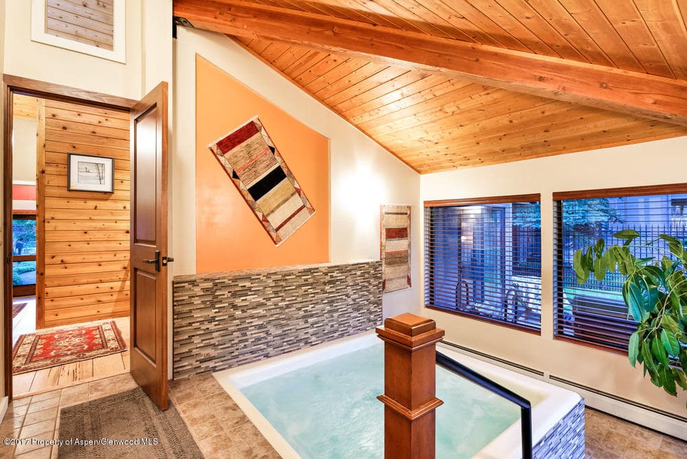 735 Castle Creek Drive 1, Aspen, CO 81611 - Photo 29