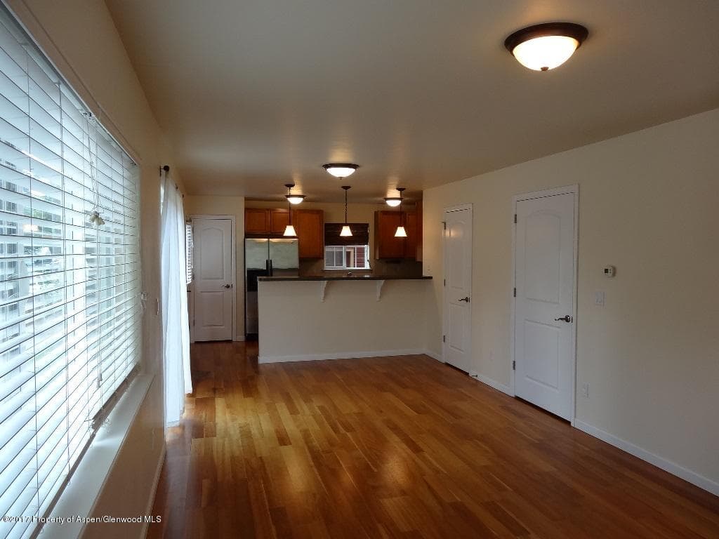 301 W 8th Court, Carbondale, CO 81623 - Photo 3