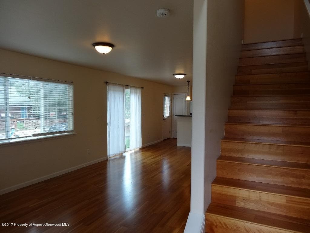 301 W 8th Court, Carbondale, CO 81623 - Photo 5