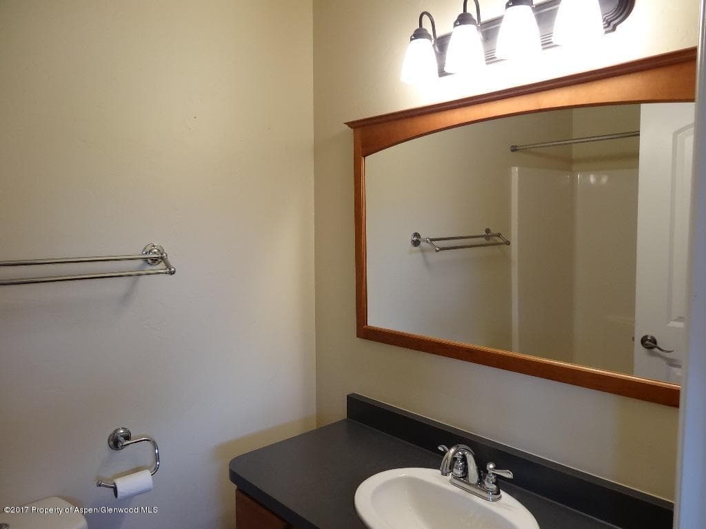 301 W 8th Court, Carbondale, CO 81623 - Photo 9