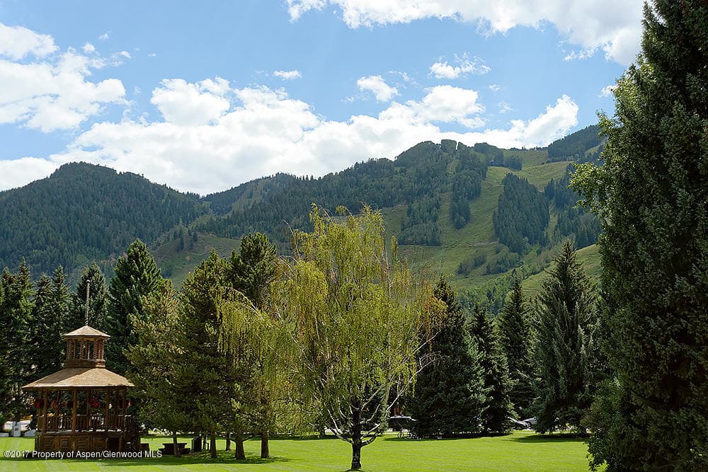 100 E Main Street #3, Aspen, CO 81611 - Photo 13